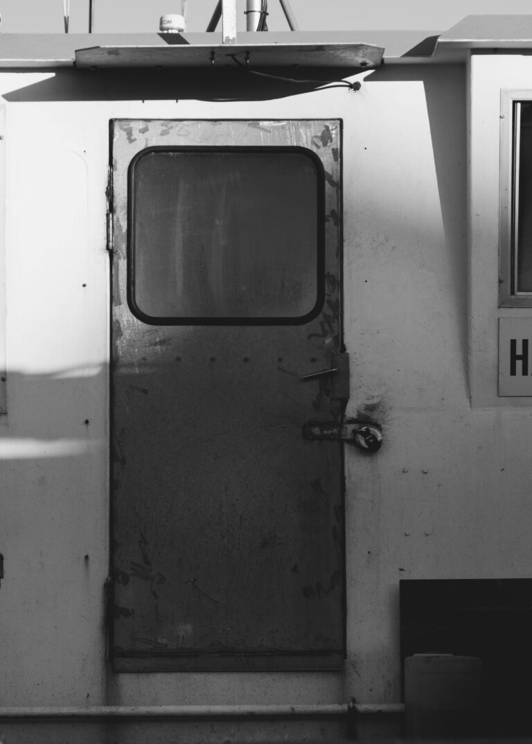 Wat je moet weten over het onderhoud van stalen deuren